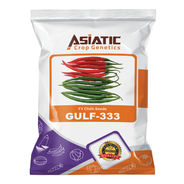 F1 Chilli Seeds GULF-333