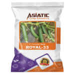 F1 Cucumber Seeds ROYAL-33 F1 Cucumber Seeds ROYAL-33