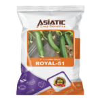 F1 Cucumber Seeds ROYAL-51