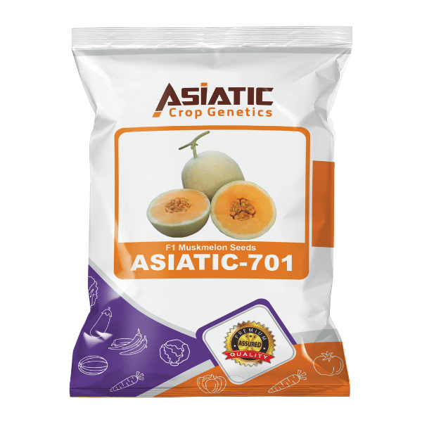 F1 Muskmealon Seeds ASIATIC-701