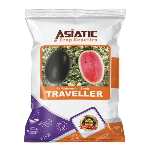 F1 Watermelon Seeds TRAVELLER