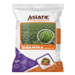Hybrid Okra Seeds ANAMIKA (ASIATIC-151)