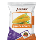 Hybrid Sweet Seeds HONEY COB-75 Hybrid Sweet Seeds HONEY COB-75